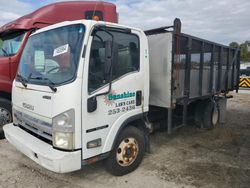 Salvage trucks for sale at Arcadia, FL auction: 2012 Isuzu NPR