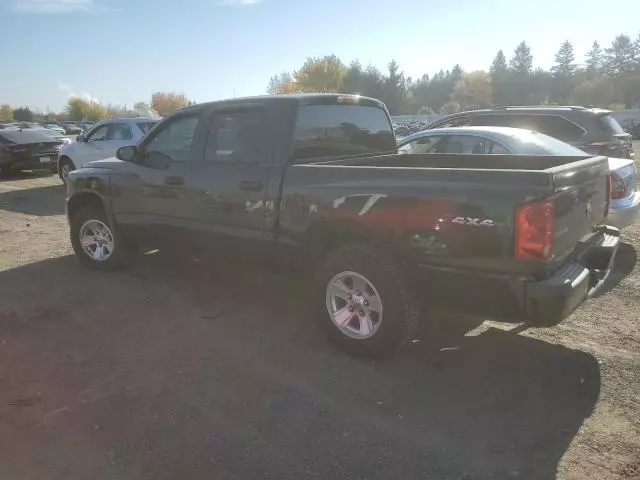 2010 Dodge Dakota SXT