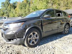 2019 Honda CR-V EX en venta en Waldorf, MD