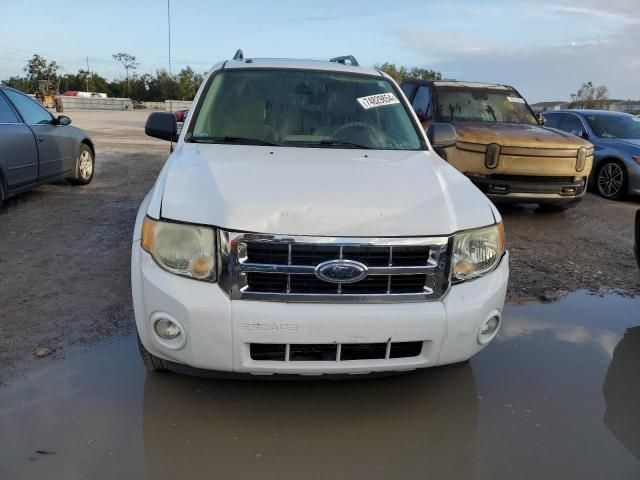 2008 Ford Escape XLT