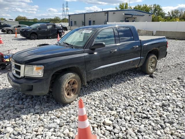 2008 Dodge Dakota Quad SLT