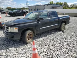 Dodge Dakota Vehiculos salvage en venta: 2008 Dodge Dakota Quad SLT