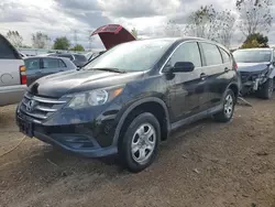 Salvage cars for sale at Elgin, IL auction: 2014 Honda CR-V LX