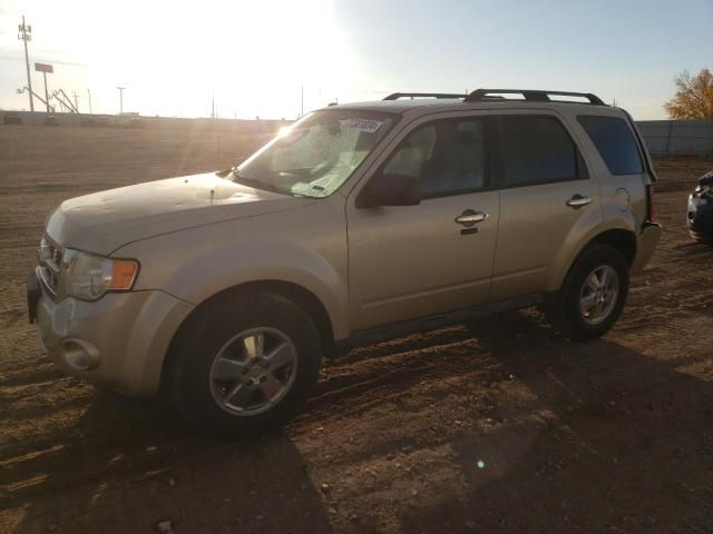 2010 Ford Escape XLT