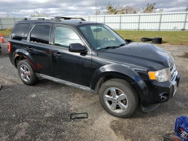 2012 Ford Escape Limited