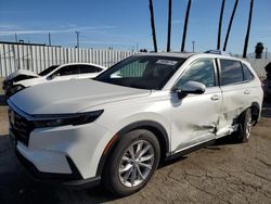 Salvage cars for sale at Van Nuys, CA auction: 2023 Honda CR-V EXL