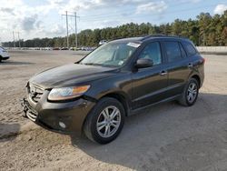 2011 Hyundai Santa FE Limited en venta en Greenwell Springs, LA