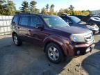 2011 Honda Pilot Exln