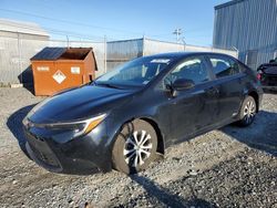 Toyota salvage cars for sale: 2023 Toyota Corolla LE