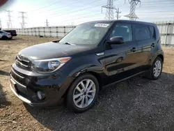 Salvage cars for sale at Elgin, IL auction: 2019 KIA Soul +