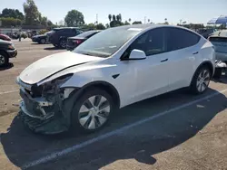 Salvage cars for sale from Copart Van Nuys, CA: 2023 Tesla Model Y