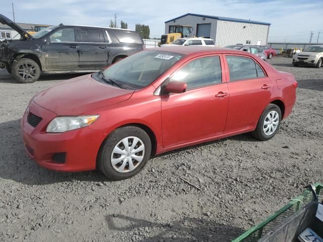 2010 Toyota Corolla Base