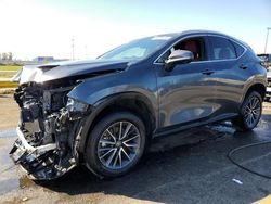 2024 Lexus NX 350 Premium en venta en Woodhaven, MI