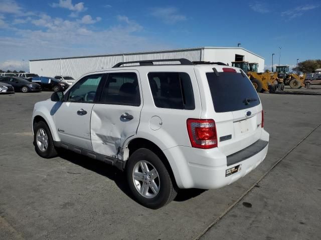 2009 Ford Escape Hybrid