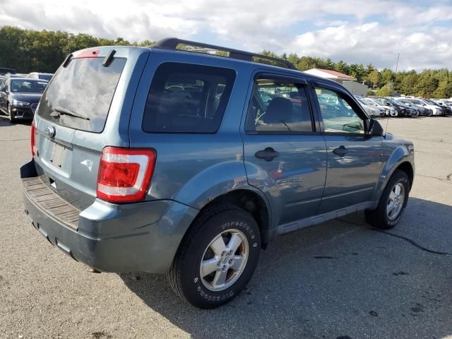 2011 Ford Escape XLT