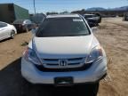 2010 Honda CR-V EXL