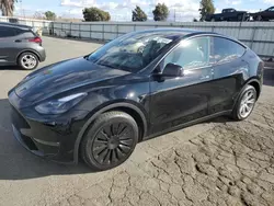 Salvage cars for sale at Martinez, CA auction: 2024 Tesla Model Y