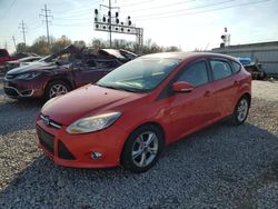 Salvage cars for sale at Columbus, OH auction: 2014 Ford Focus SE