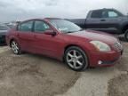 2004 Nissan Maxima SE