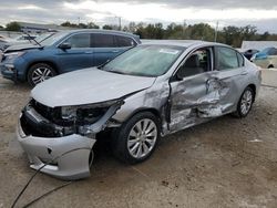 Salvage cars for sale at Louisville, KY auction: 2013 Honda Accord EXL