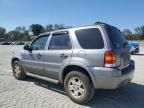 2007 Ford Escape XLT