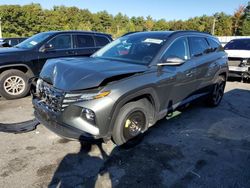 Salvage cars for sale at Exeter, RI auction: 2023 Hyundai Tucson Limited