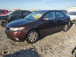 Salvage cars for sale at Cahokia Heights, IL auction: 2010 KIA Forte EX