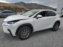 Salvage Cars with No Bids Yet For Sale at auction: 2020 Lexus NX 300