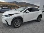 2020 Lexus NX 300