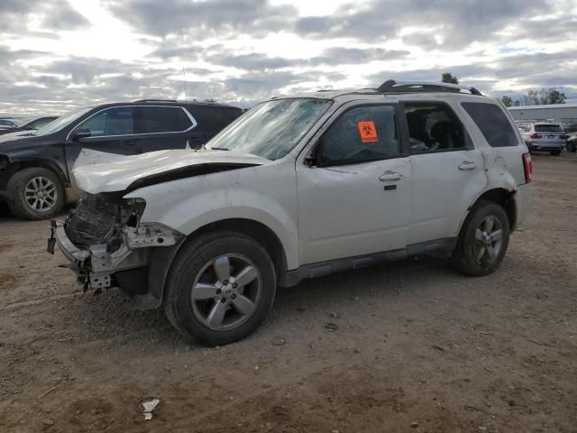 2009 Ford Escape Limited