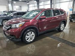 Salvage cars for sale at Ham Lake, MN auction: 2014 Honda CR-V EX