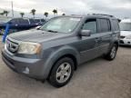 2010 Honda Pilot EXL