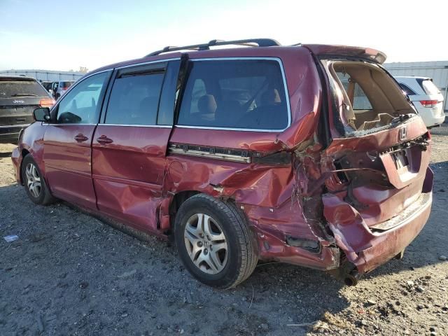 2005 Honda Odyssey EX