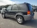 2001 Ford Escape XLT