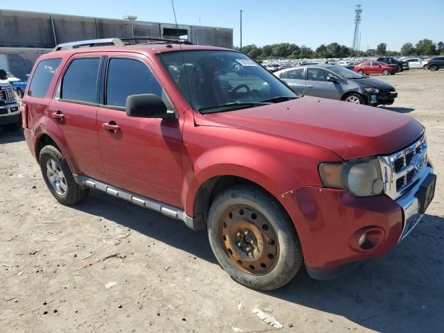 2010 Ford Escape Limited