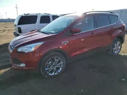 Salvage cars for sale at Greenwood, NE auction: 2014 Ford Escape SE