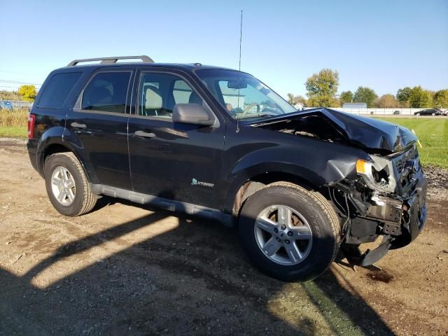 2011 Ford Escape Hybrid