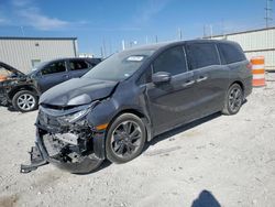 Salvage cars for sale at Haslet, TX auction: 2024 Honda Odyssey Elite