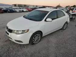 Salvage cars for sale at Tucson, AZ auction: 2011 KIA Forte EX