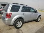 2012 Ford Escape XLS