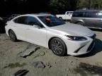 2021 Lexus ES 250 Base