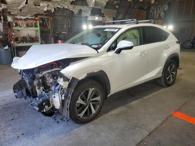 2019 Lexus NX 300H