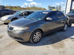 KIA Forte salvage cars for sale: 2010 KIA Forte EX