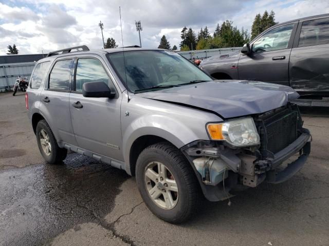 2008 Ford Escape HEV