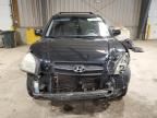 2008 Hyundai Tucson SE