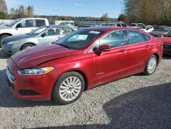 Ford salvage cars for sale: 2015 Ford Fusion SE Hybrid