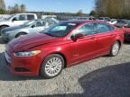 2015 Ford Fusion SE Hybrid