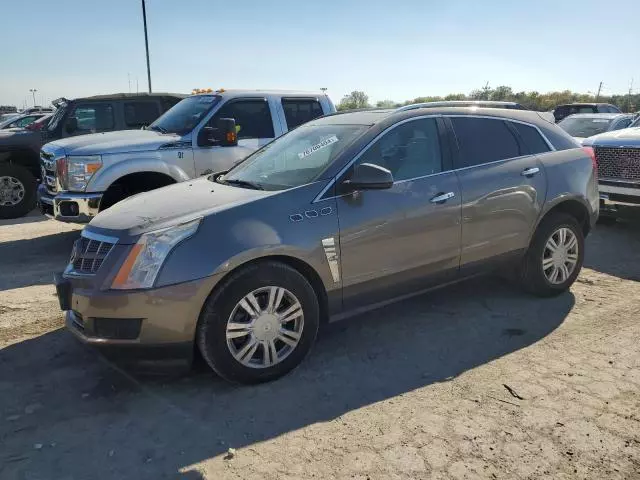 2011 Cadillac SRX Luxury Collection