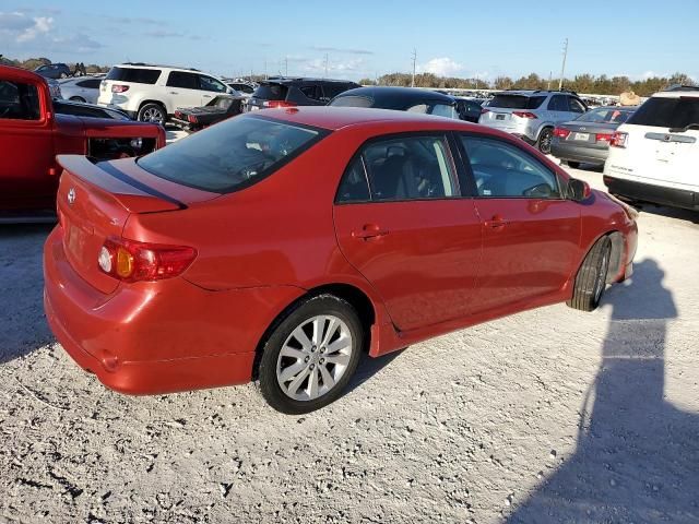 2010 Toyota Corolla Base