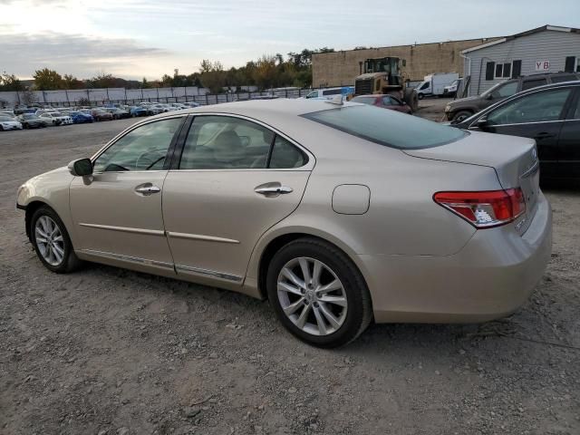 2010 Lexus ES 350